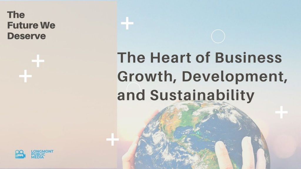The cover of the book "The Heart of Business Growth, Development, and Sustainability" featuring a professional design