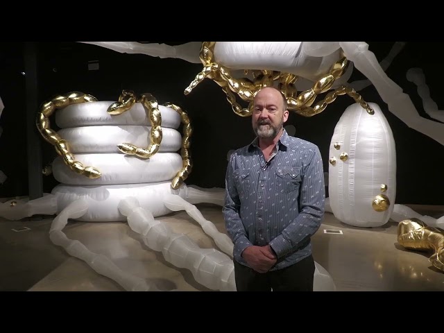 A man standing in front of a display of gold and white objects